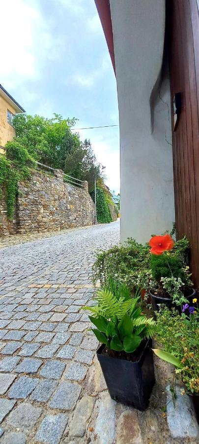 Penzion Merlin Cesky Krumlov Exterior photo